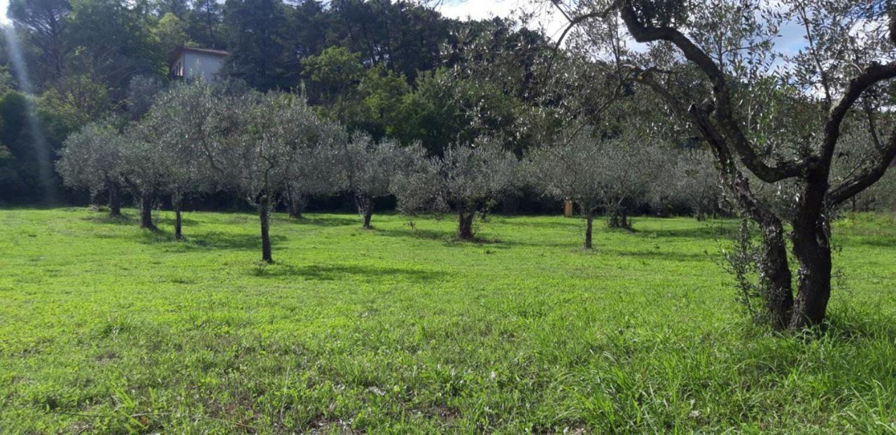 Luxury tent Agricampeggio Borgo Agna *